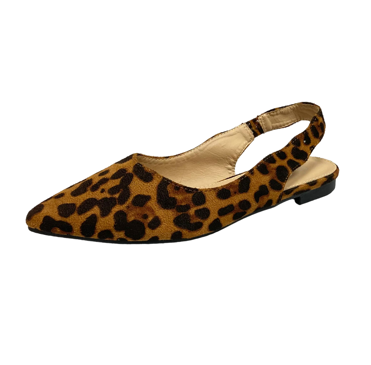 Sandales pointues à bride arrière pour femmes J.Mank