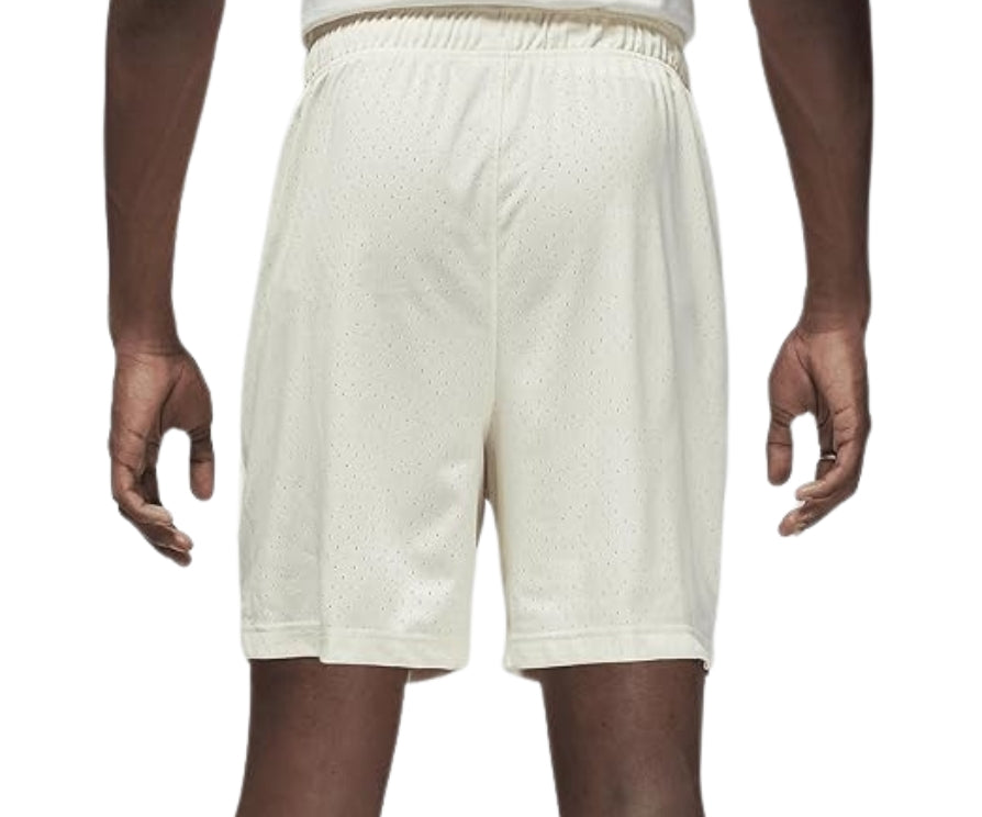 Jordan Men's Dri-FIT Sport Mesh Shorts FN5816-113