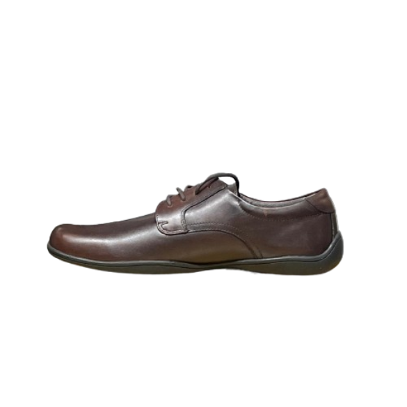 Lands' End Men's Casual Oxford Dark Brown
