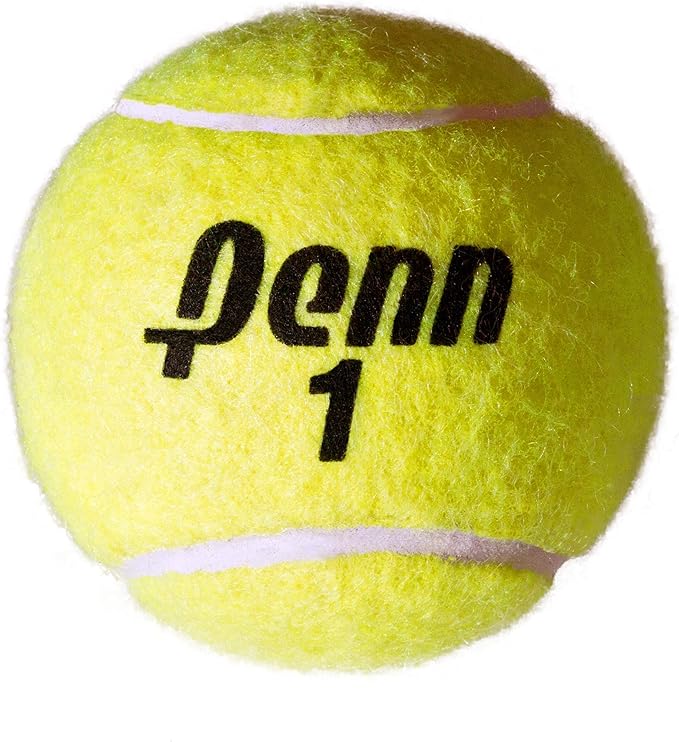 Penn Championship Tennis Balls Extra Duty Felt Pressurized Tennis Balls