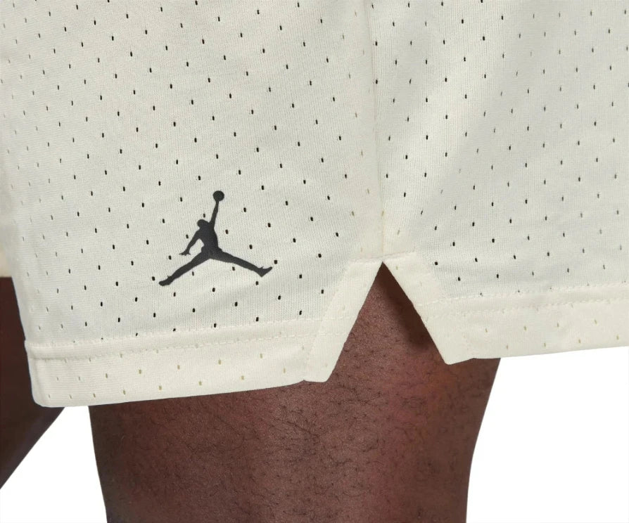 Jordan Men's Dri-FIT Sport Mesh Shorts FN5816-113