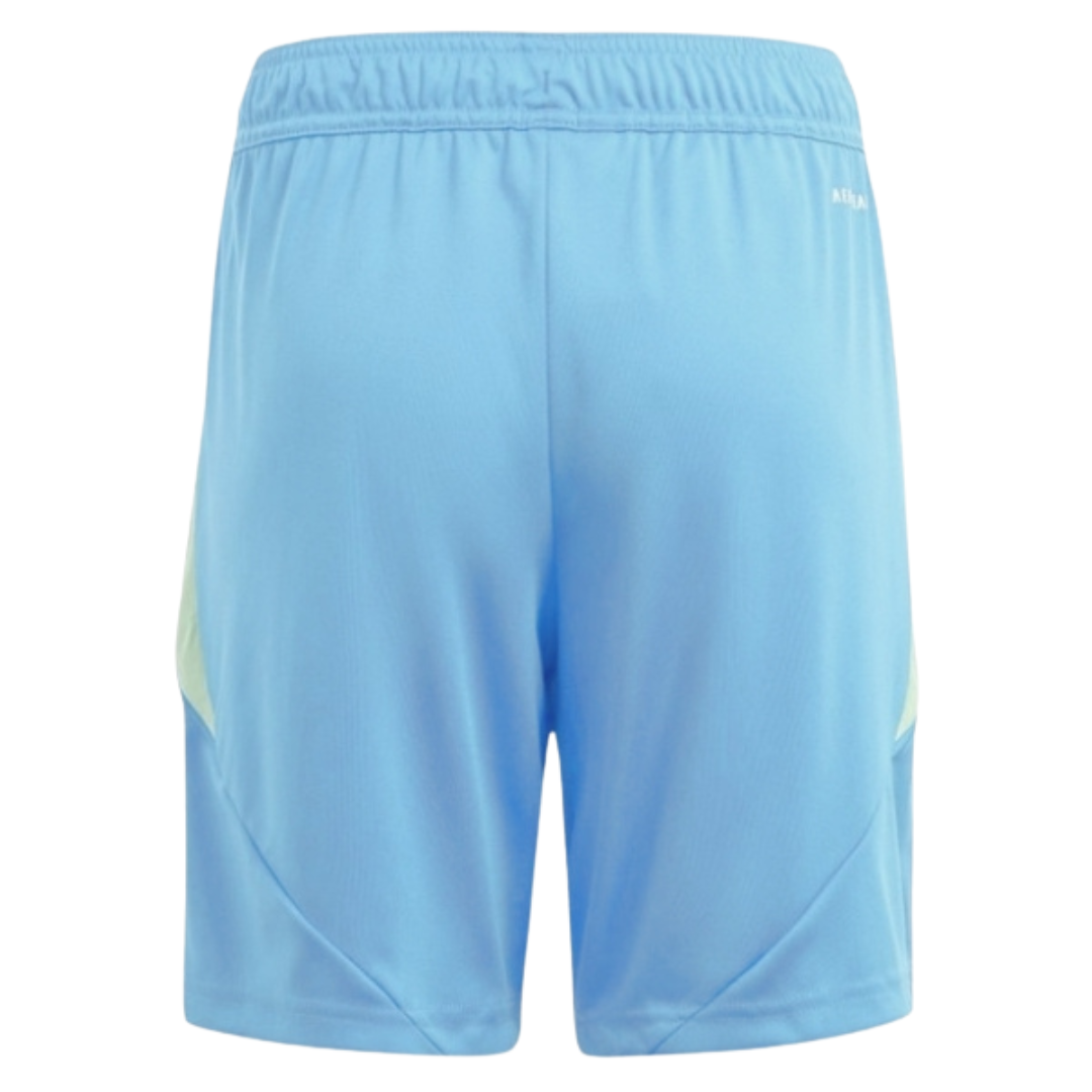Adidas Men's Tiro 24 Semi Blue Soccer Short IT2412