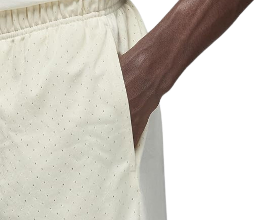 Jordan Men's Dri-FIT Sport Mesh Shorts FN5816-113