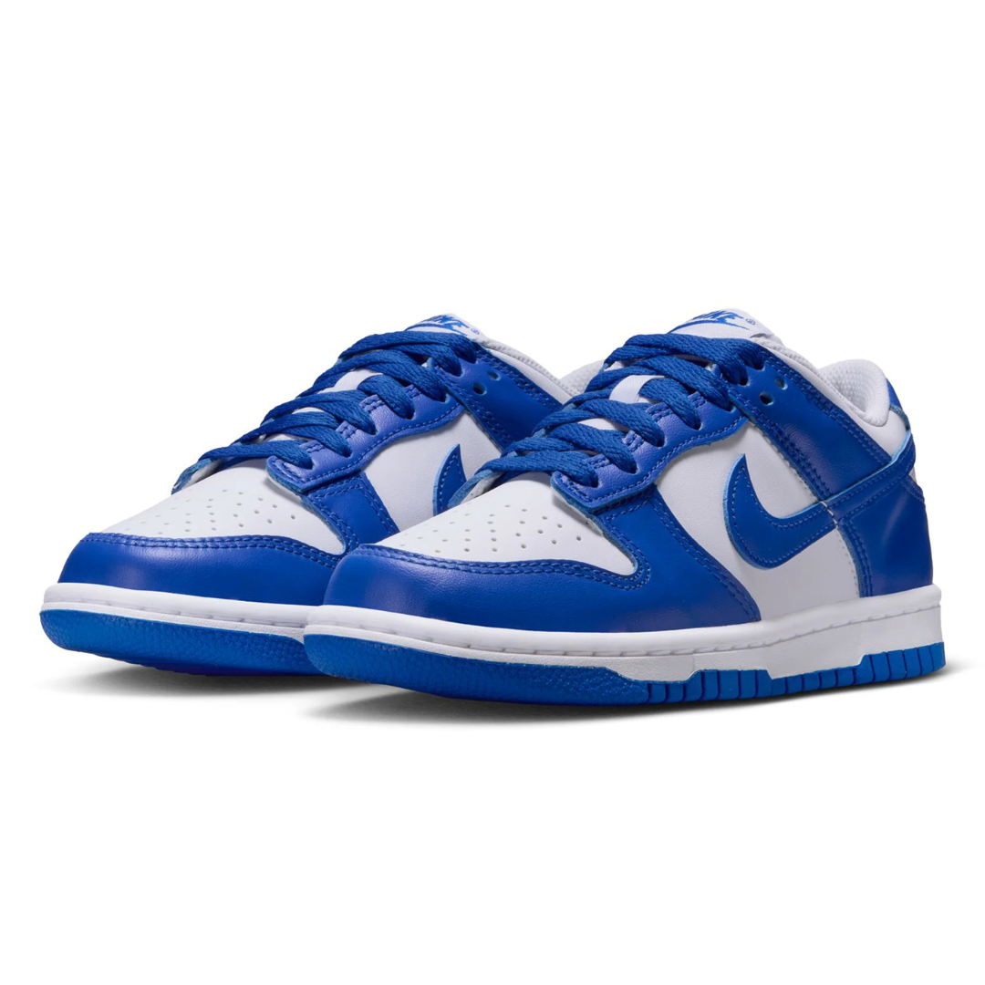 Nike Big Kids' Dunk Low Casual Shoes FB9109-131