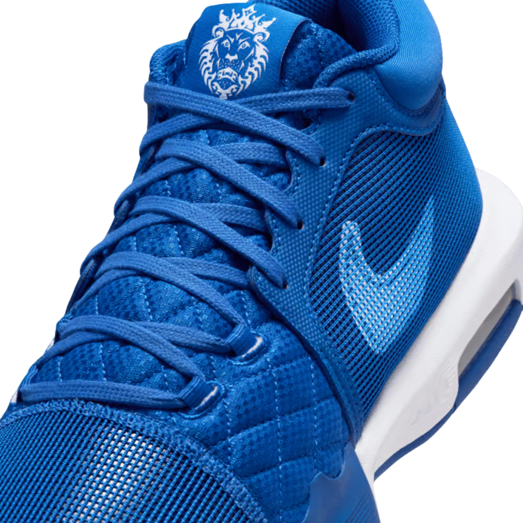 Nike Men's LeBron Witness 8 Basketball Shoes – Blue FB9944-401